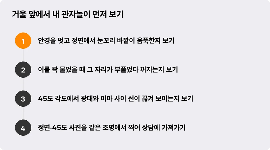 거울 앞에서 내 관자놀이 먼저 보기