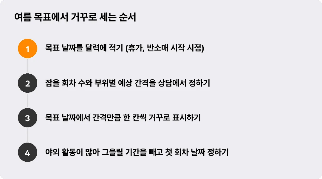 여름 목표에서 거꾸로 세는 순서
