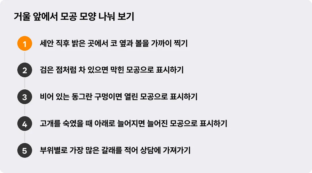 거울 앞에서 모공 모양 나눠 보기